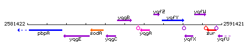 YqgB context.gif