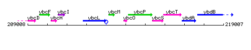 YbcO context.gif