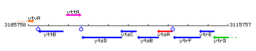 YtsC context.gif