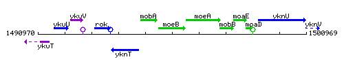 MoeB context.gif