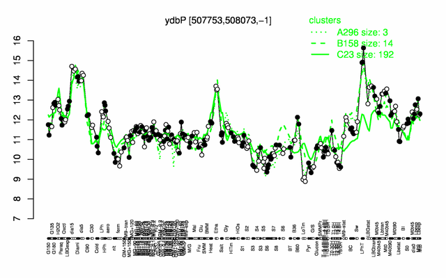 YdbP expression.png