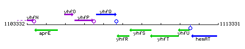 YhfR context.gif