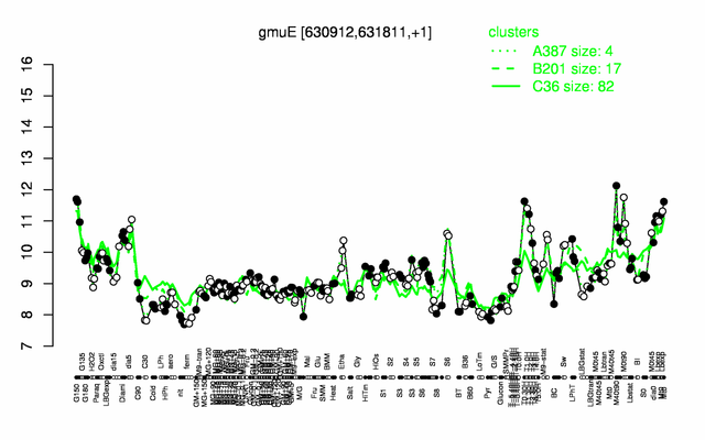 GmuE expression.png