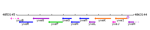 YxeN context.gif